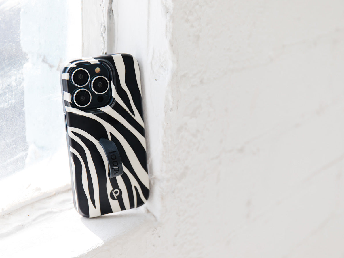 A Zebra Loopy Case.