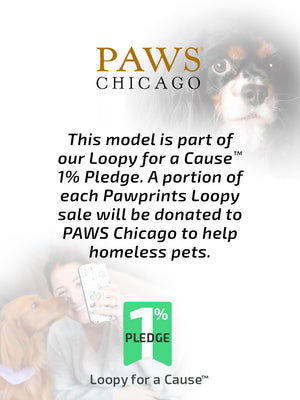 A description of our partnership with PAWS Chicago. || feature-media